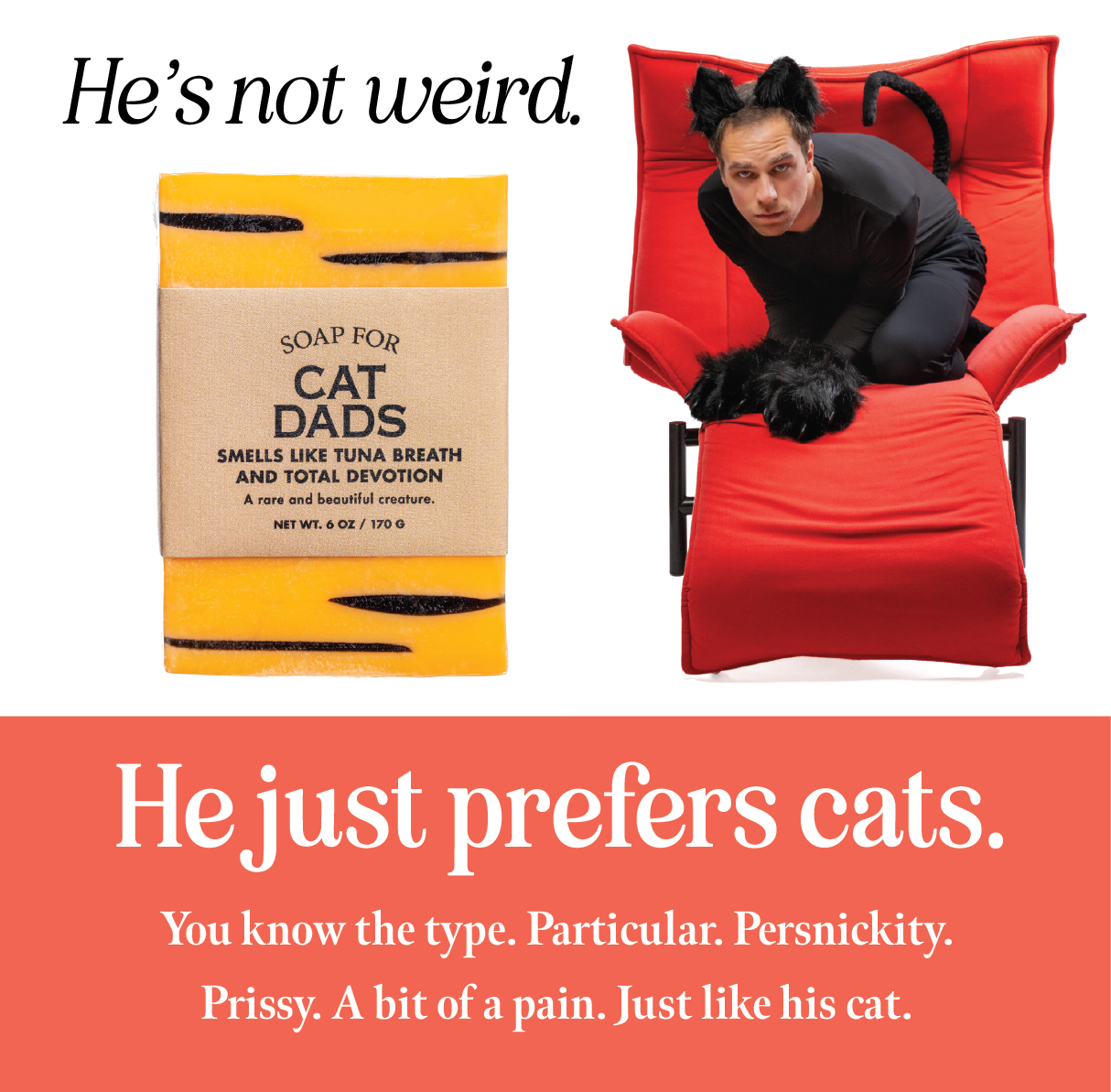 Soap for Cat Dads