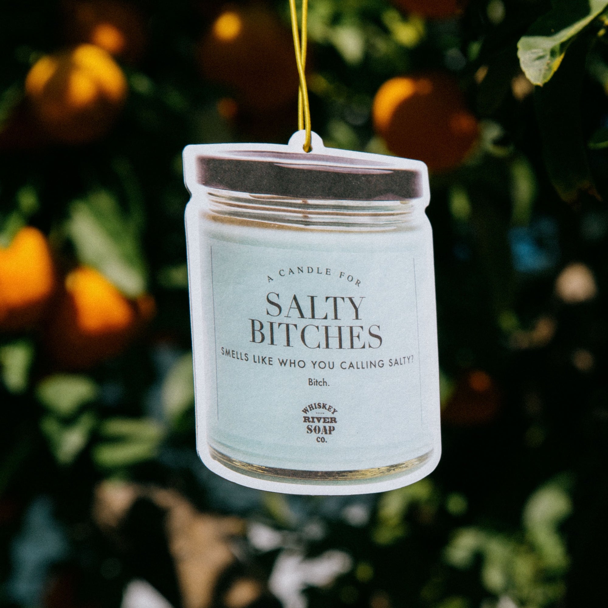 Salty Bitches WTF Air Freshener