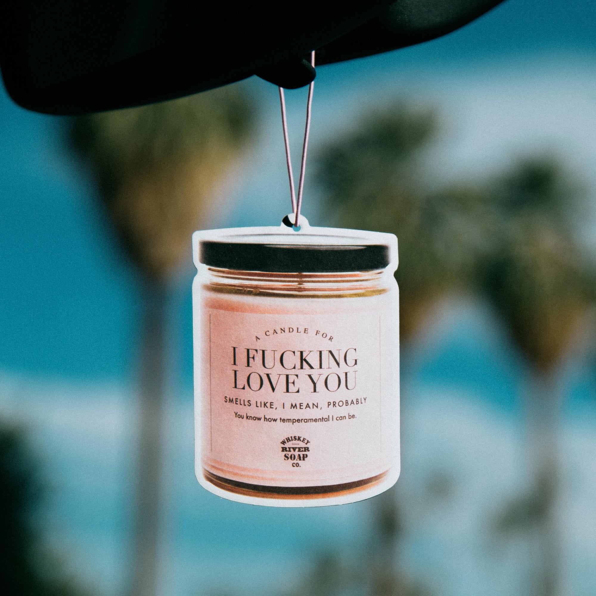 I Fucking Love You WTF Air Freshener