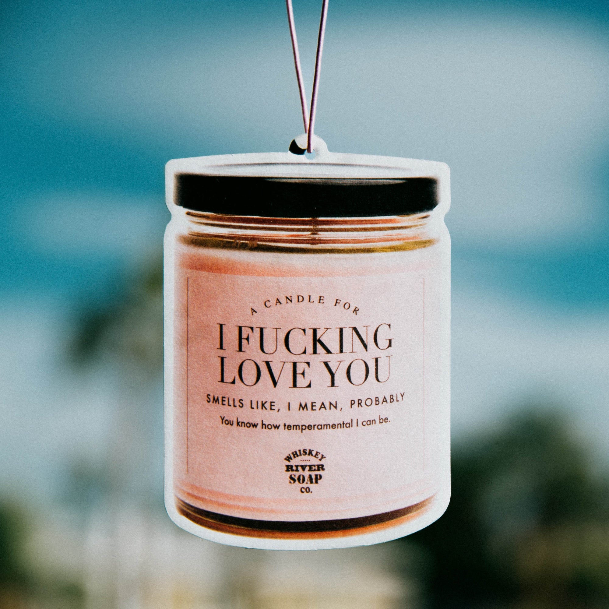 I Fucking Love You WTF Air Freshener