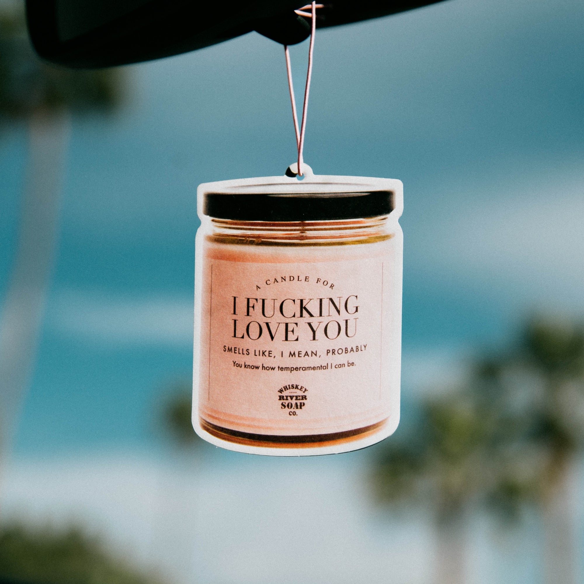 I Fucking Love You WTF Air Freshener