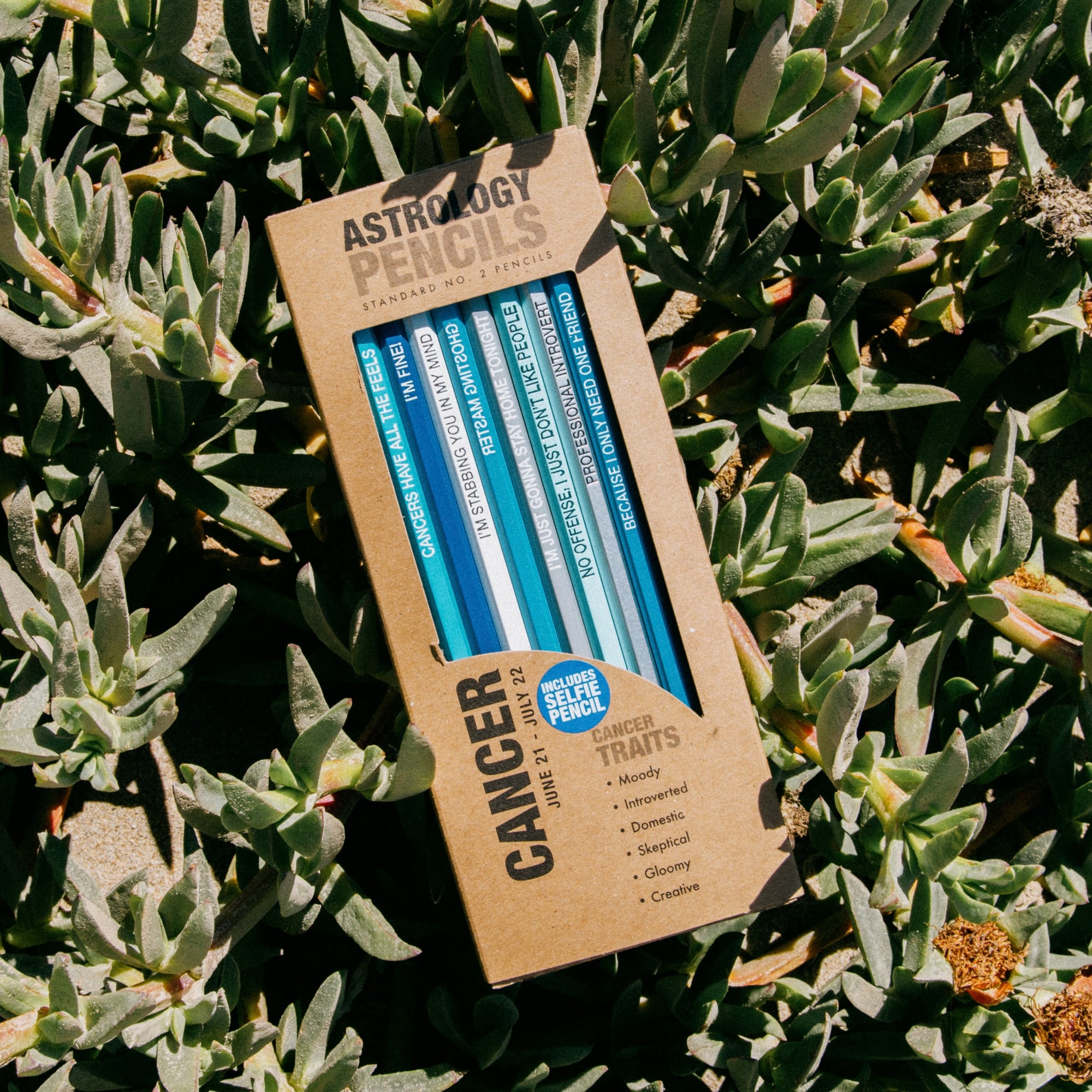 Astrology Pencils Cancer