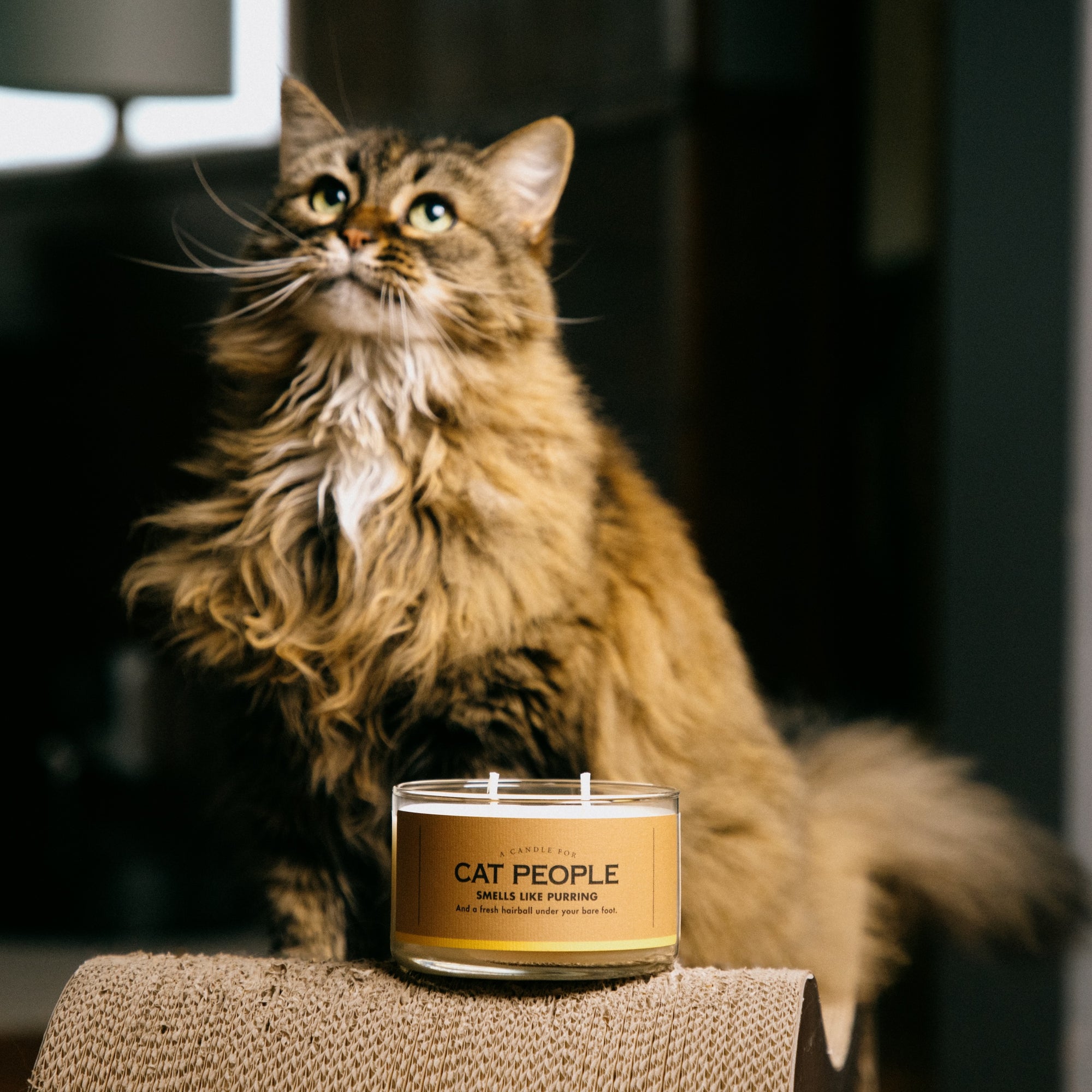 A Candle for Cat People