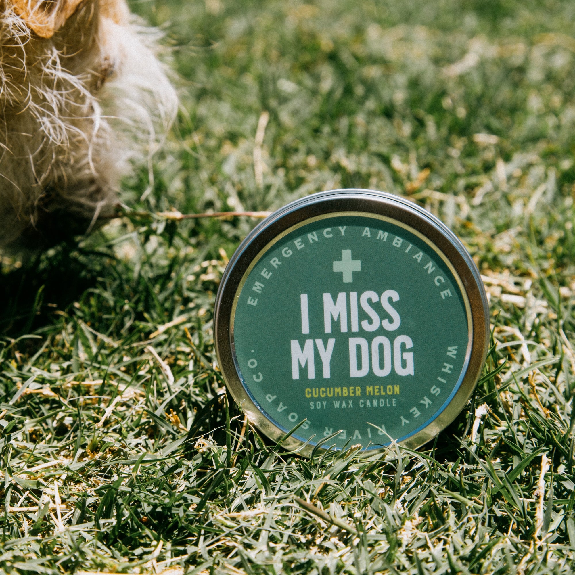 I Miss My Dog Emergency Ambiance Travel Tin