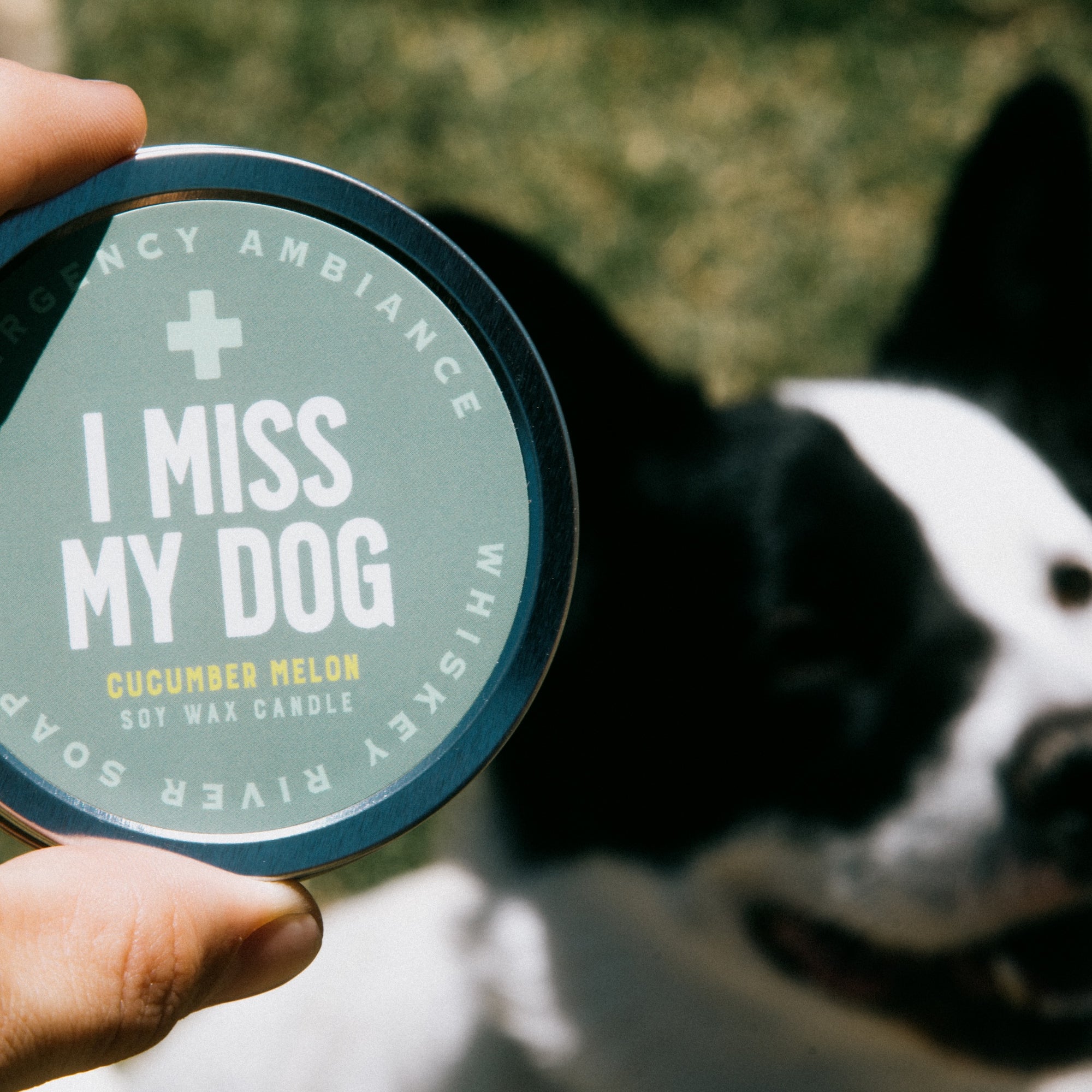 I Miss My Dog Emergency Ambiance Travel Tin