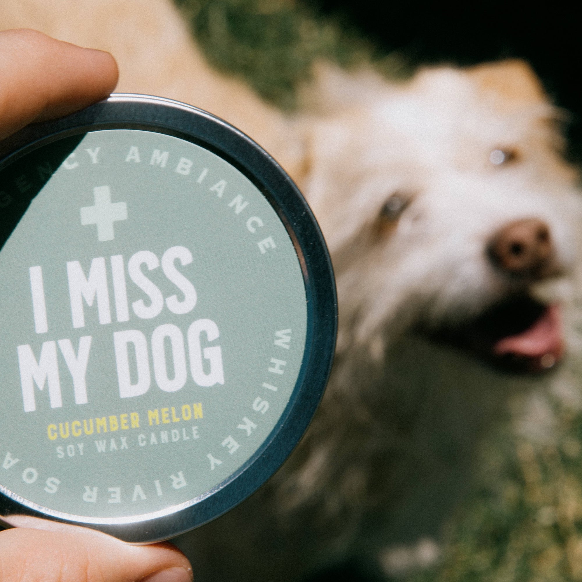 I Miss My Dog Emergency Ambiance Travel Tin