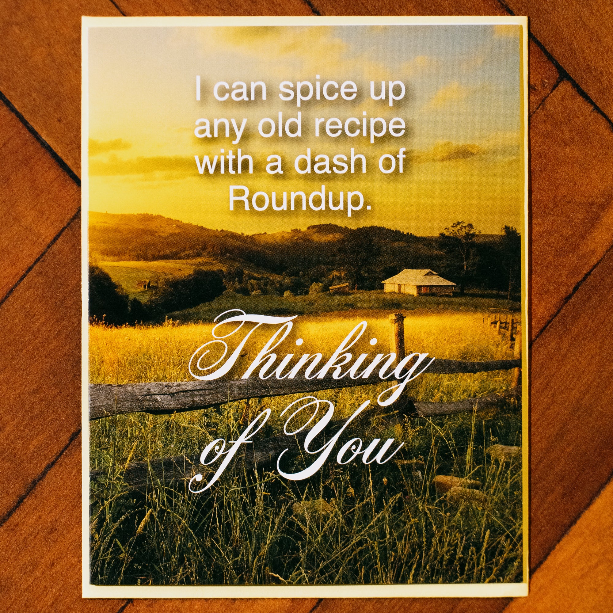 Dash of Roundup Greeting Card