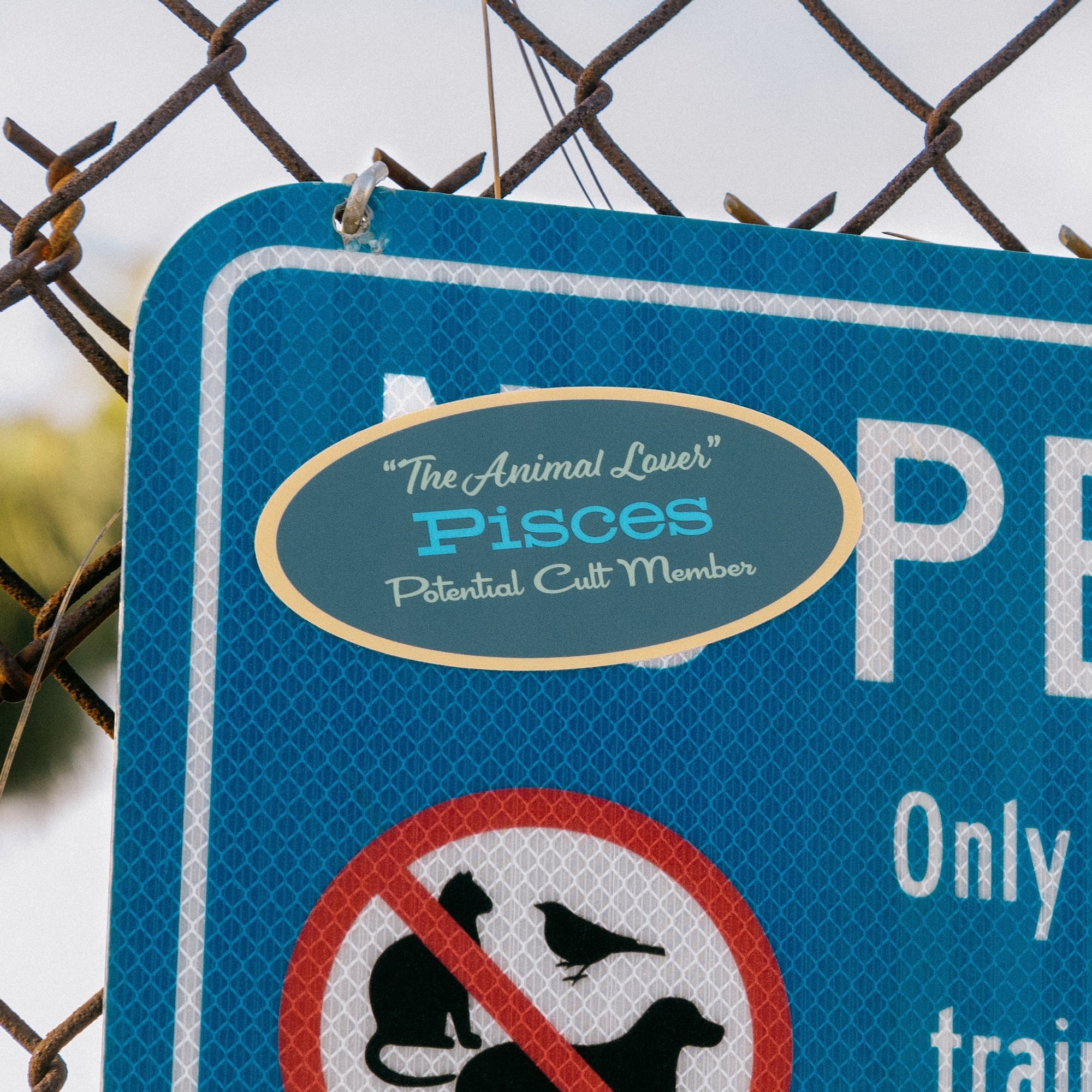 Pisces Astrology Sticker Pack