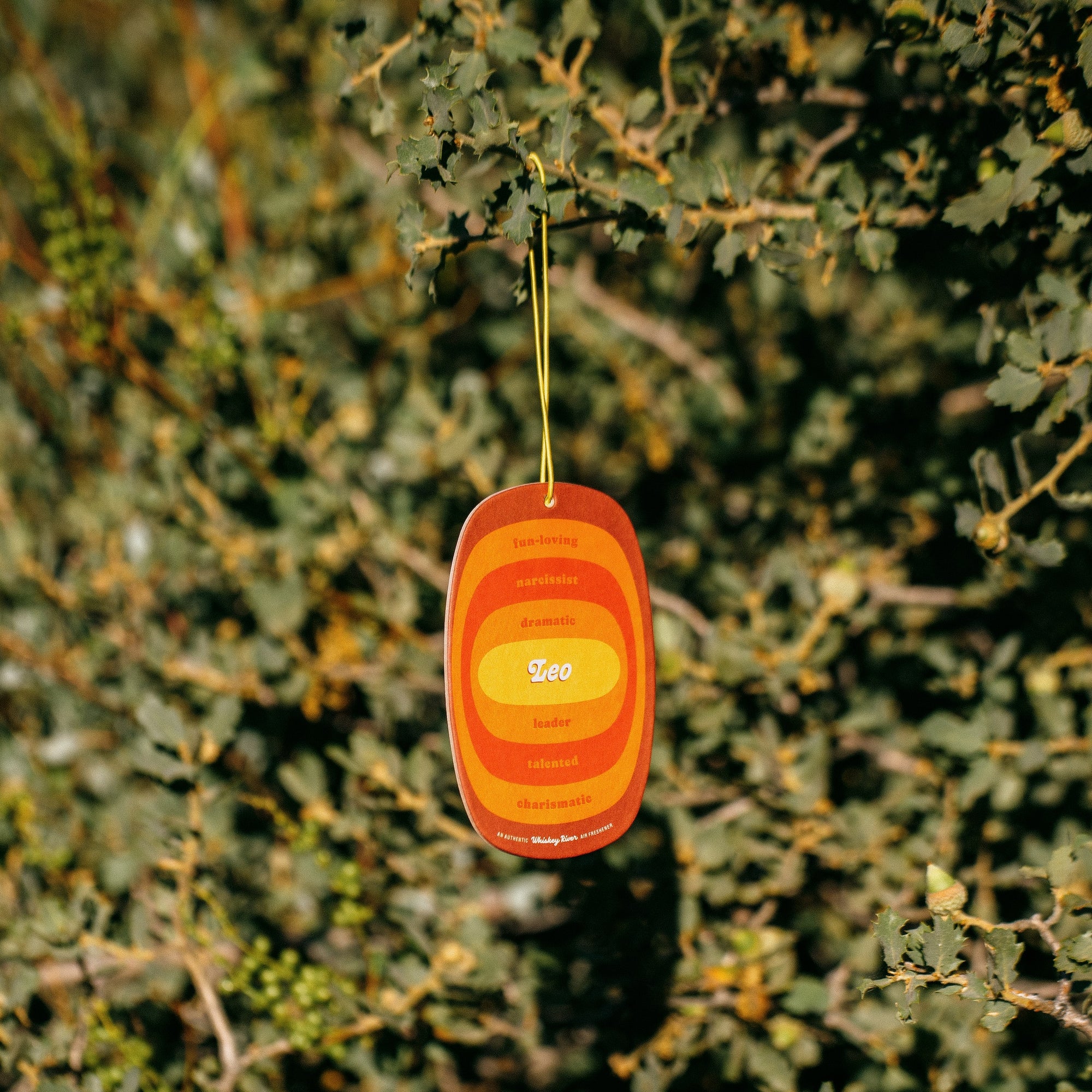 Leo Astrology Air Freshener