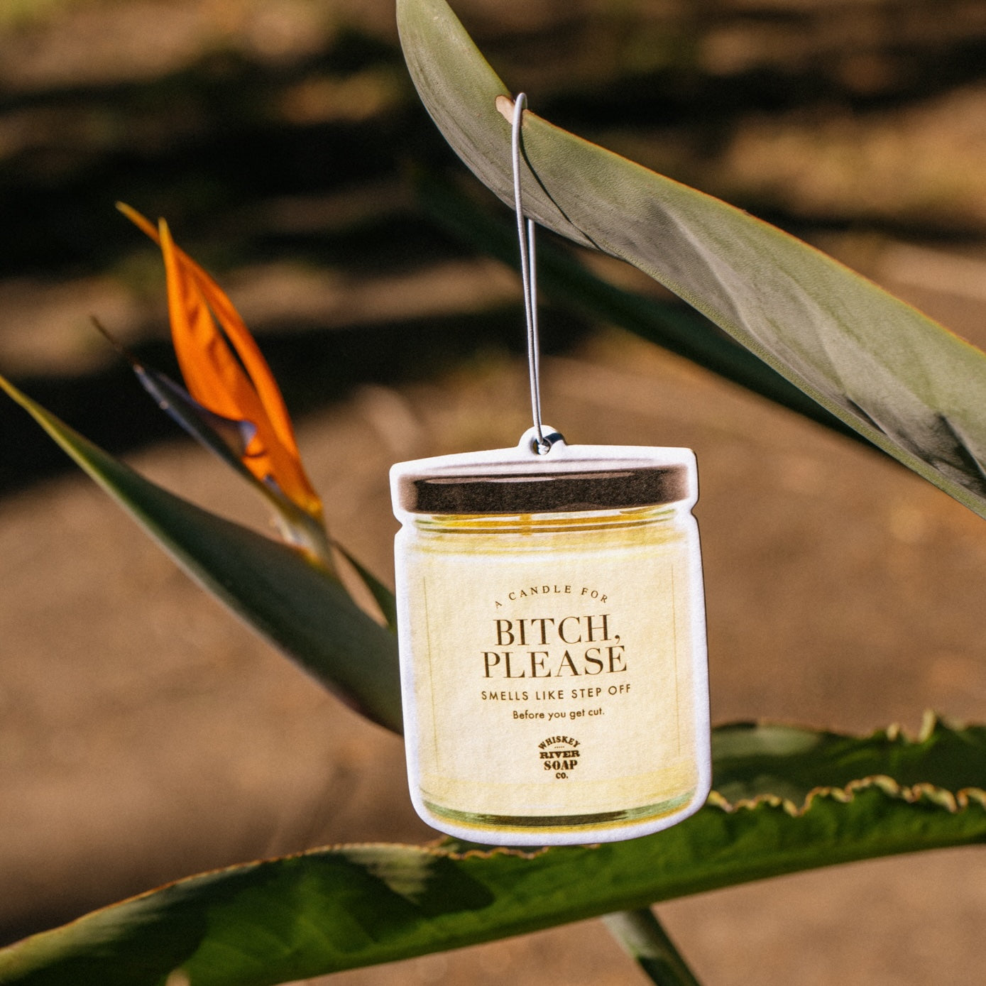 Bitch, Please WTF Air Freshener