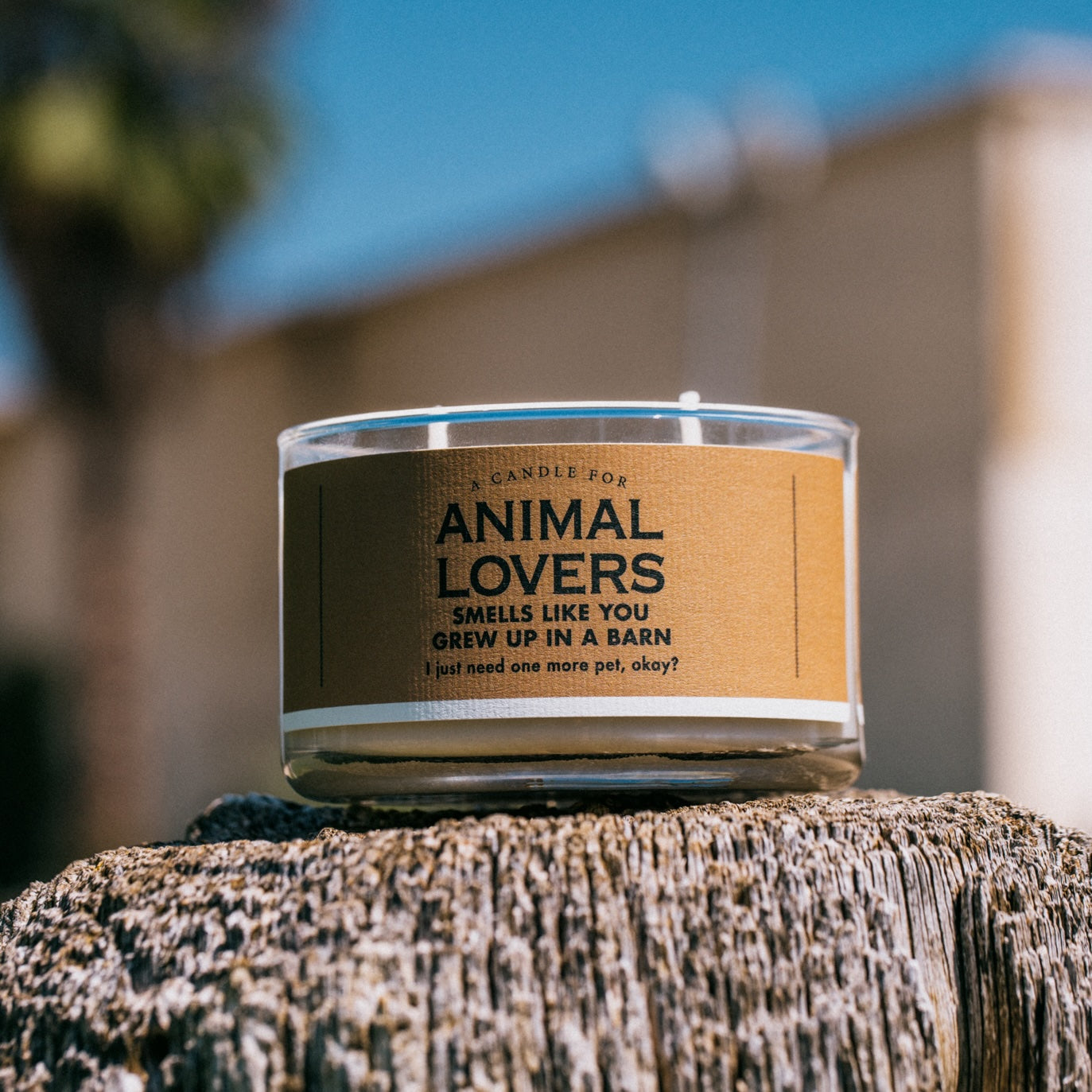 A Candle for Animal Lovers