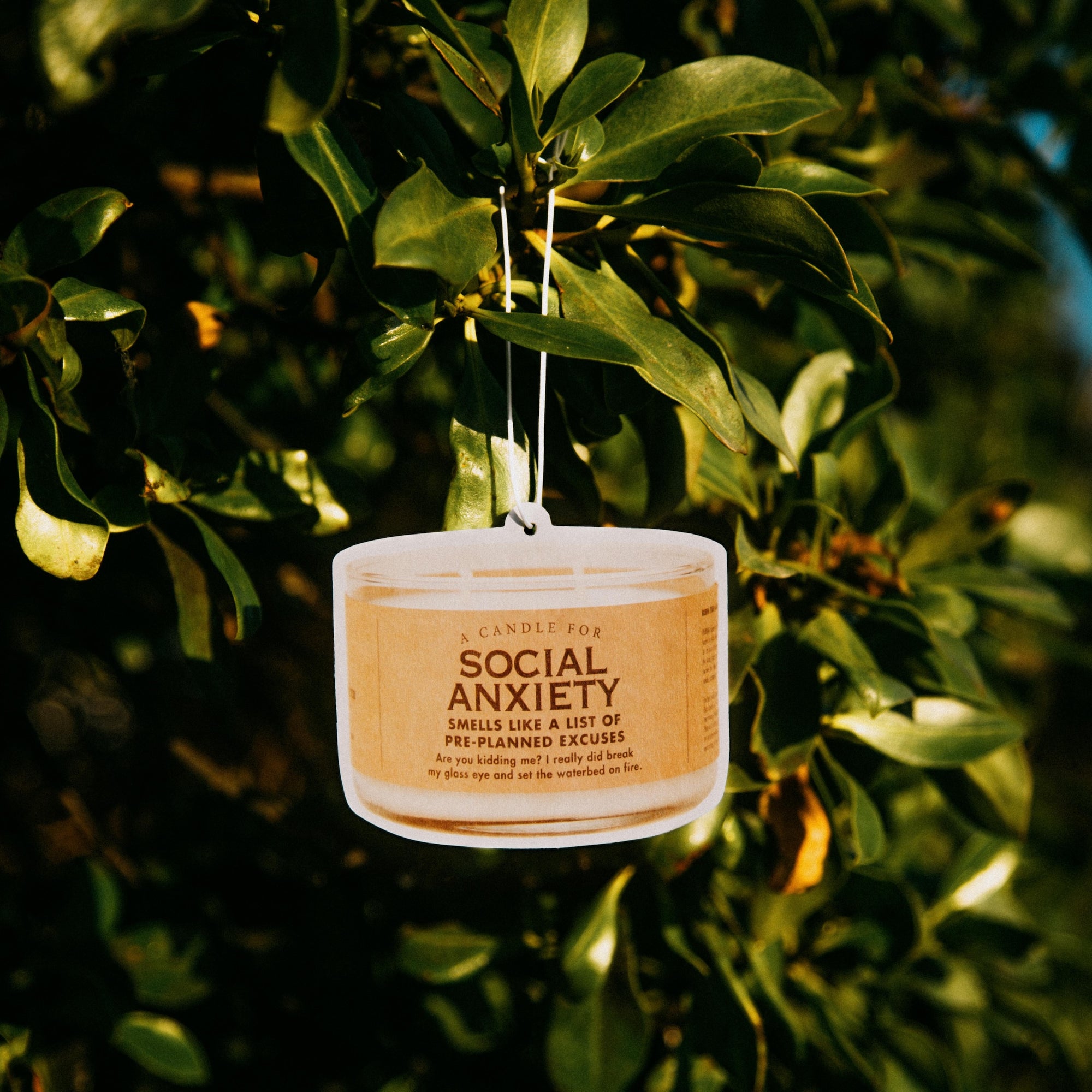 Social Anxiety Air Freshener