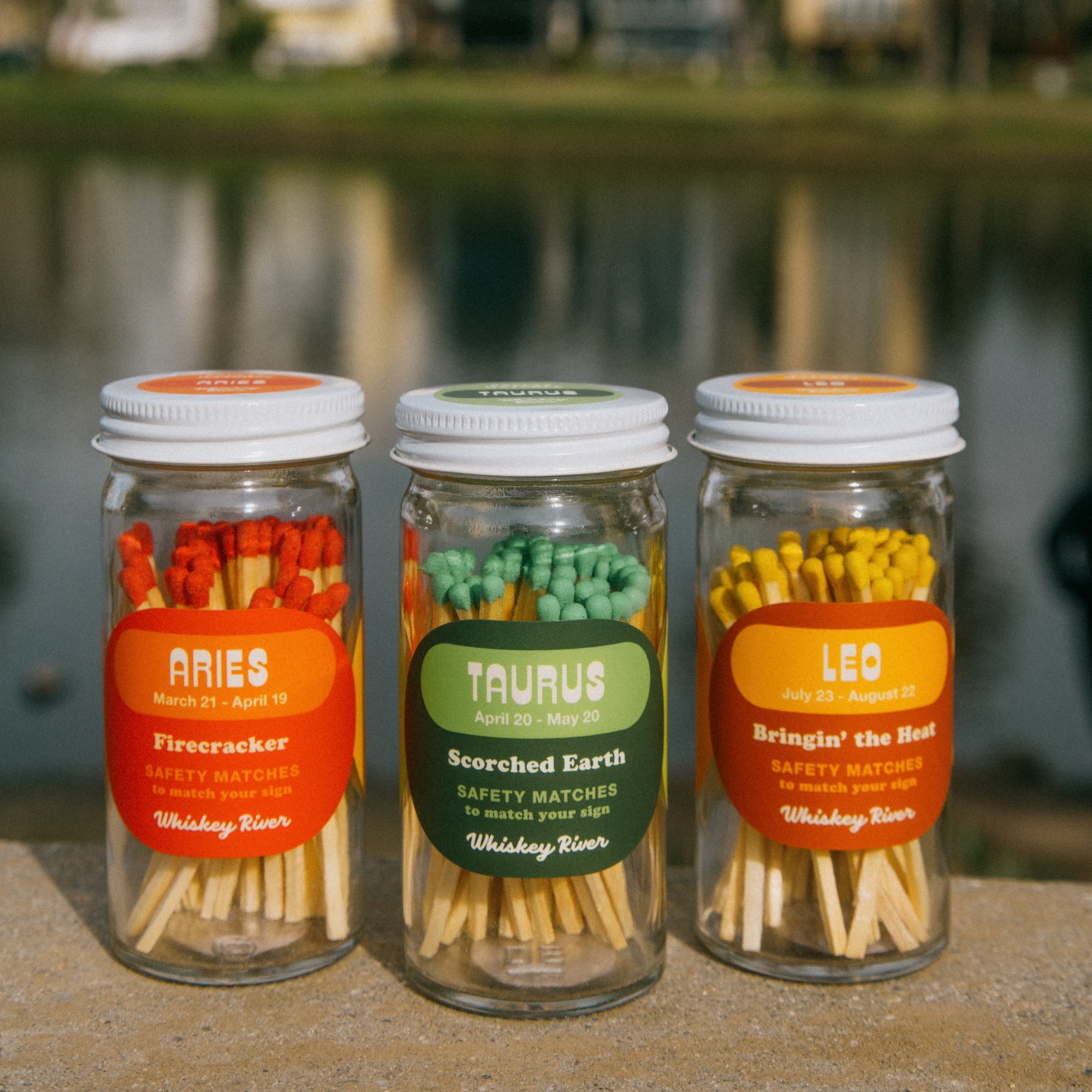 Leo Astrology Safety Matches