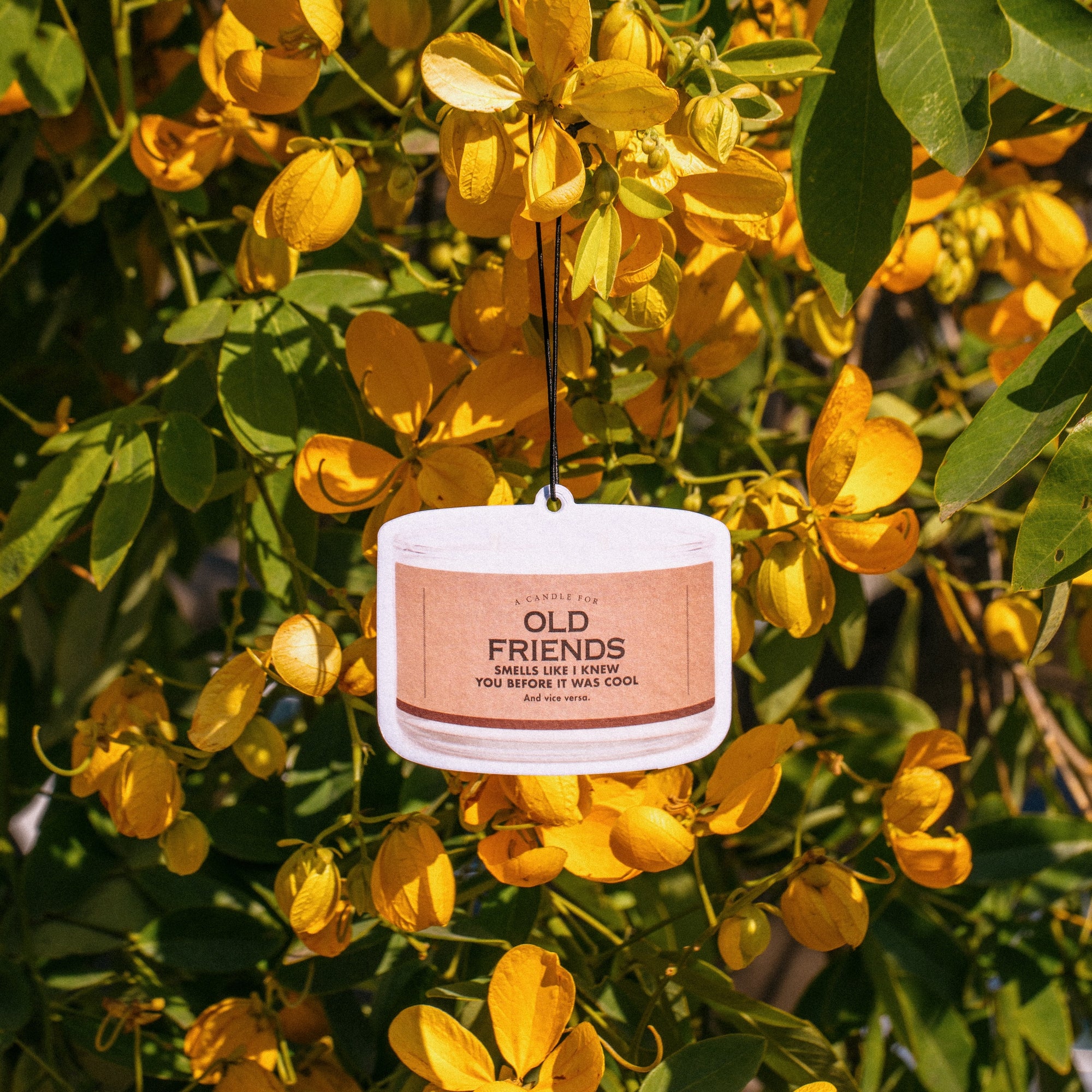 Old Friends Air Freshener