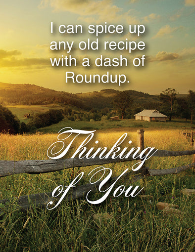 Dash of Roundup Greeting Card