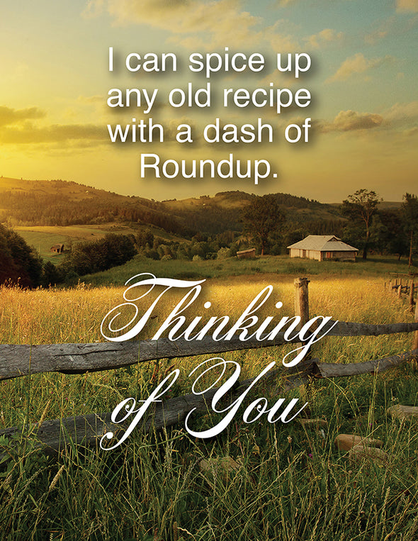 Dash of Roundup Greeting Card